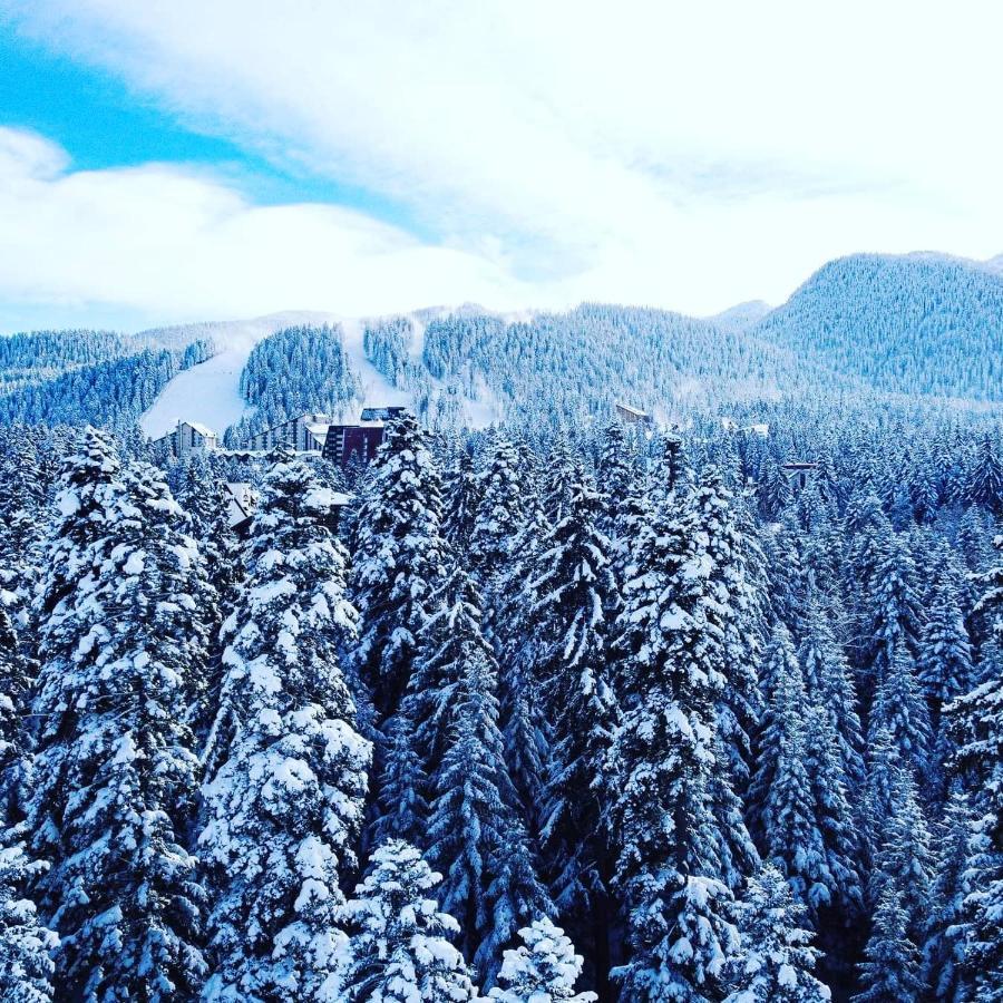 Mountain Paradise In Aparthotel Borovets Gardens Exterior foto